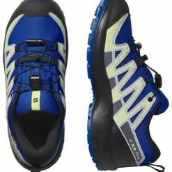 Salomon · XA PRO V8 WP