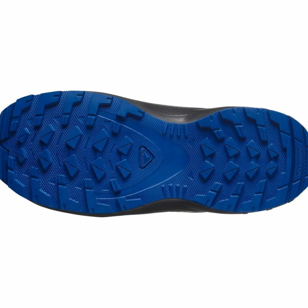 Salomon · XA PRO V8 WP