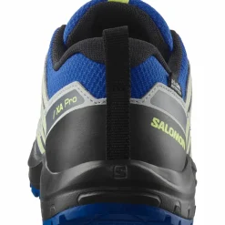 Salomon · XA PRO V8 WP