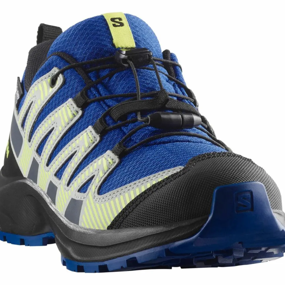 Salomon · XA PRO V8 WP