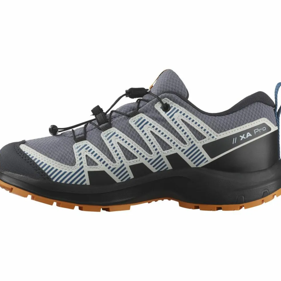 Salomon · XA PRO V8 WP