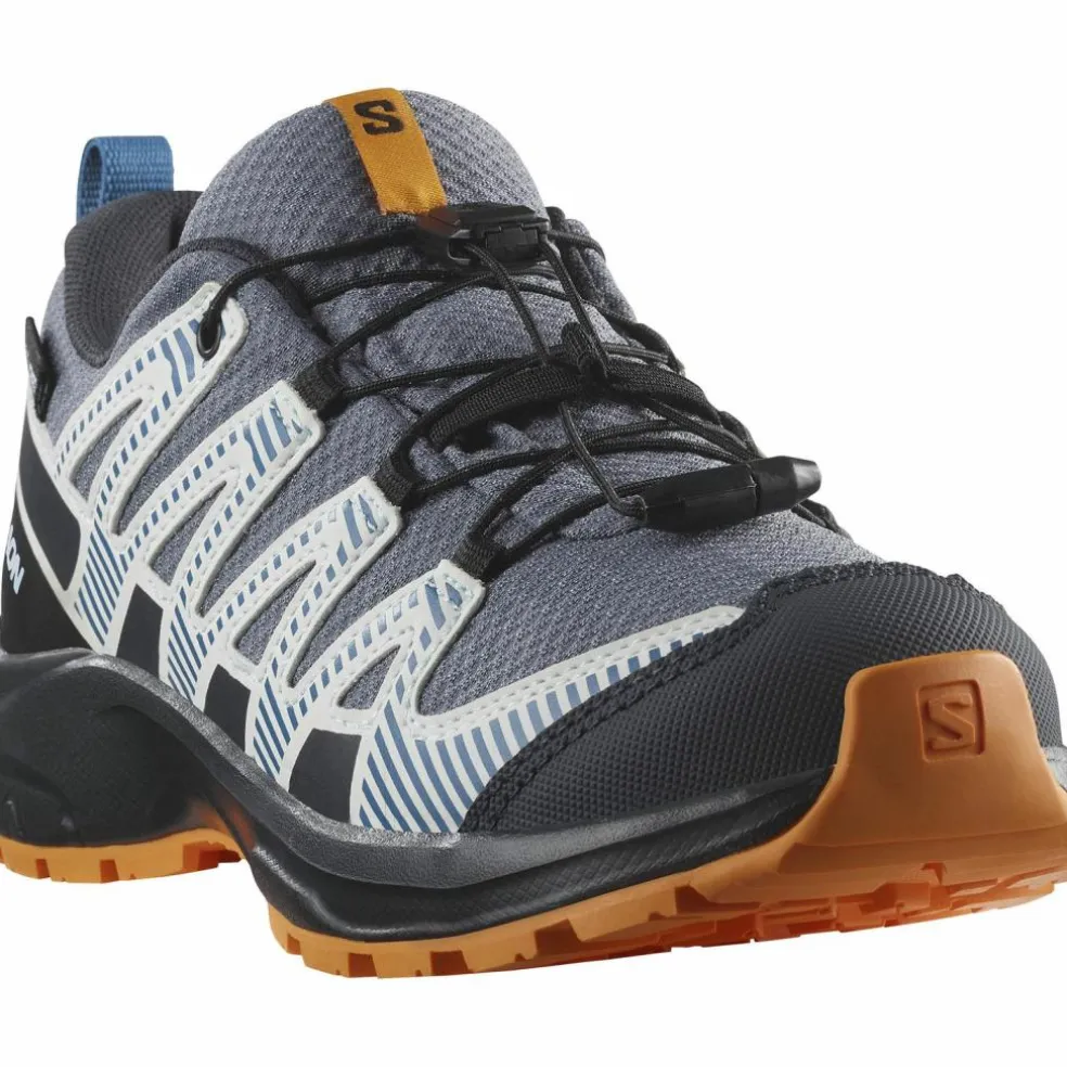 Salomon · XA PRO V8 WP
