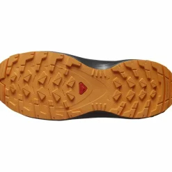 Salomon · XA PRO V8 WP