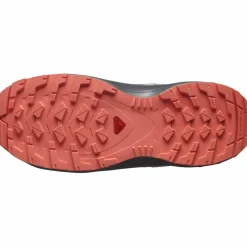 Salomon · XA PRO V8 WP