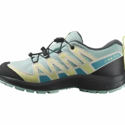 Salomon · XA PRO V8 WP