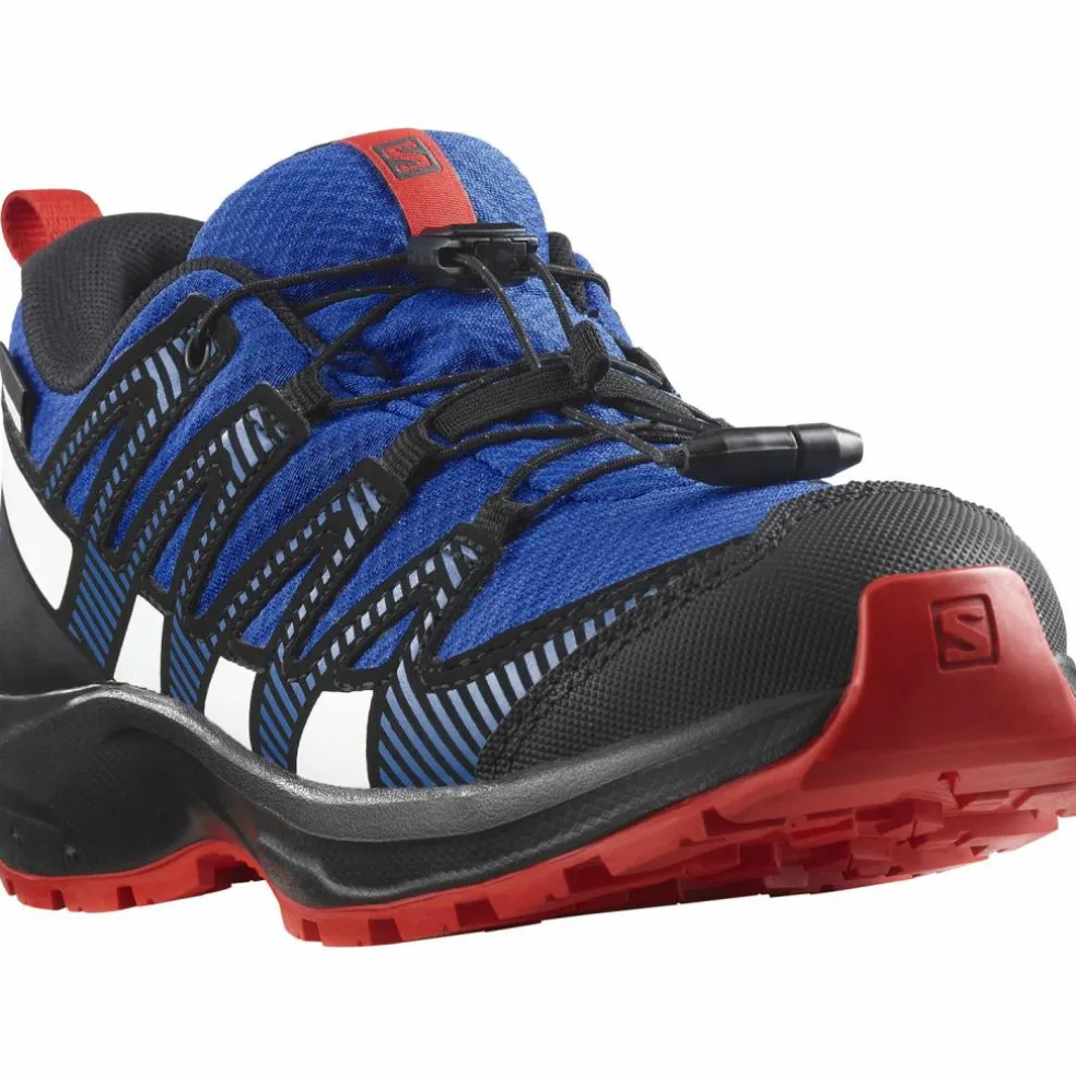 Salomon · XA PRO V8 WP