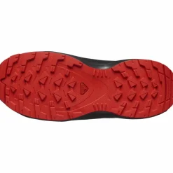 Salomon · XA PRO V8 WP