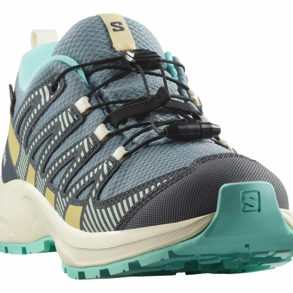 Salomon · XA PRO V8 WP
