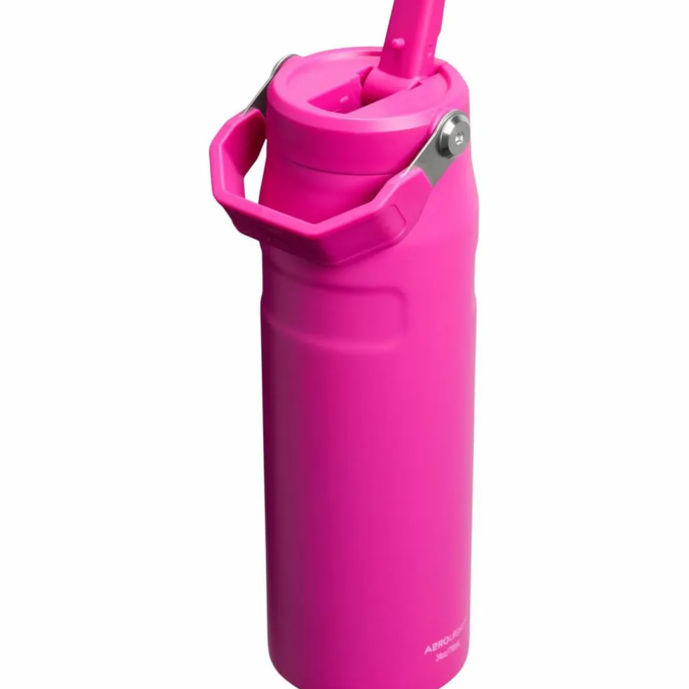 Stanley · The IceFlow Flip Straw 2.0 Bottle