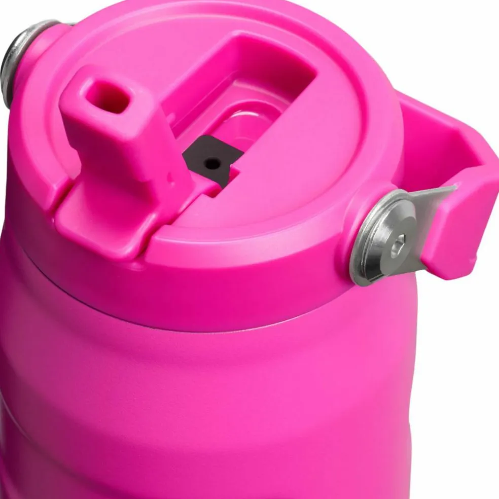 Stanley · The IceFlow Flip Straw 2.0 Bottle