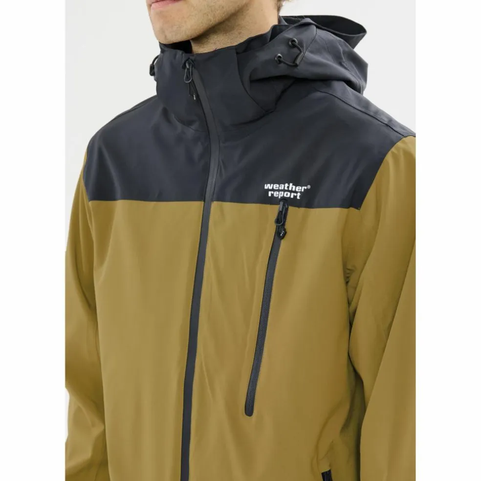Weather Report · DELTON W-PRO15000