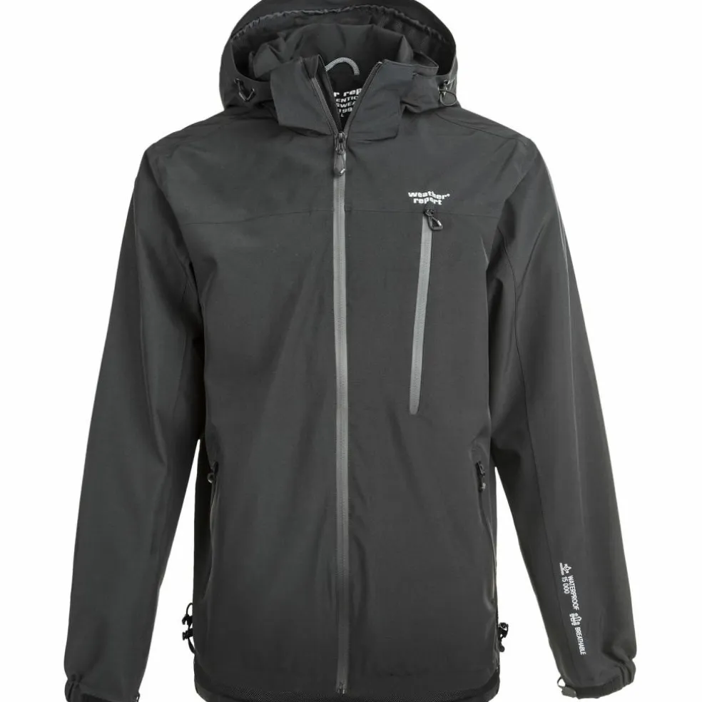 Weather Report · DELTON W-PRO15000