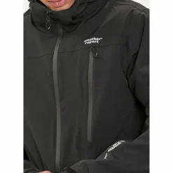 Weather Report · DELTON W-PRO15000