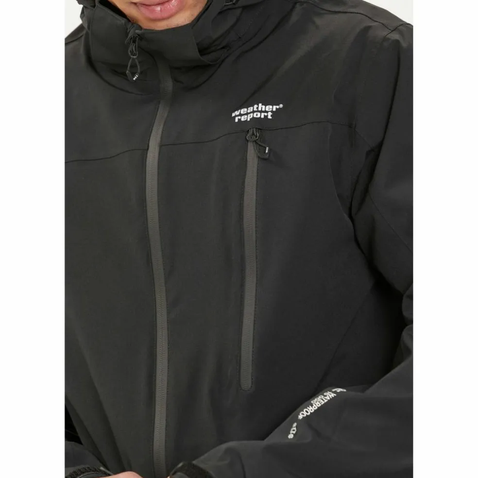 Weather Report · DELTON W-PRO15000