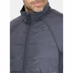 Whistler · Ari
