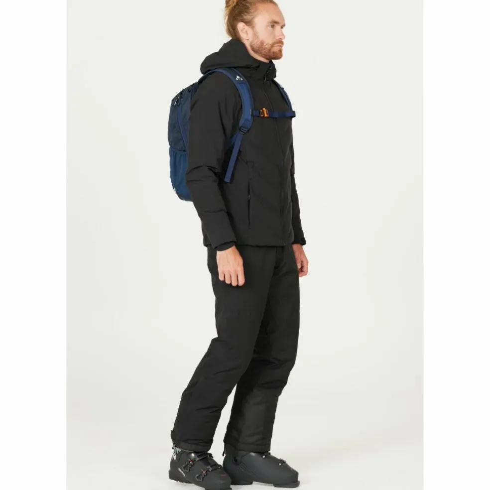 Whistler · Froswick