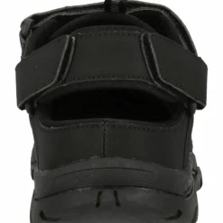 Whistler · Macareus