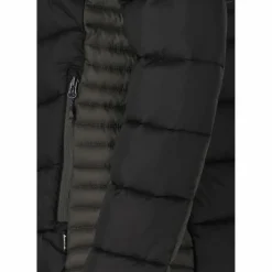 Whistler · Trival