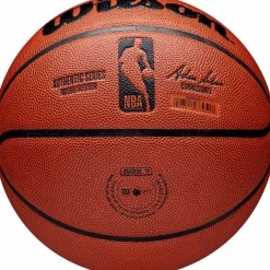 Wilson · NBA AUTHENTIC INDOOR/OUTDOOR