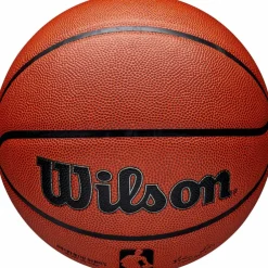 Wilson · NBA AUTHENTIC INDOOR/OUTDOOR