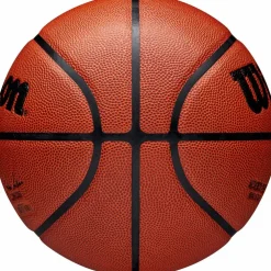 Wilson · NBA AUTHENTIC INDOOR/OUTDOOR