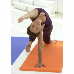 YOGISTAR · Pro